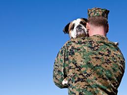 A counselor with PTSD needed to use a service dog at work to decrease his anxiety.